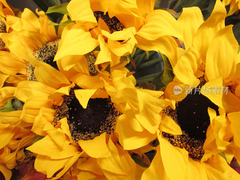塑料/蚕丝向日葵(向日葵)/人造黄花的图像